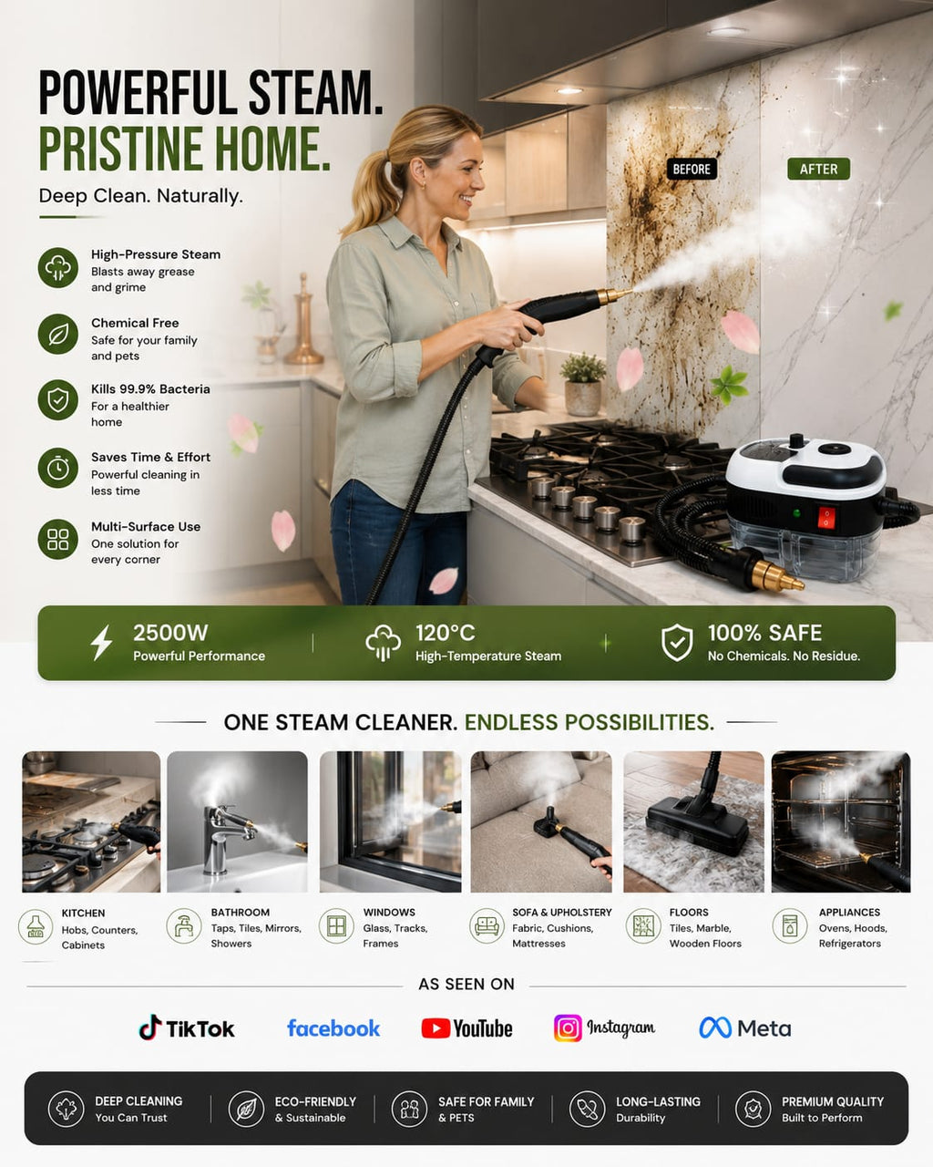 High-Pressure Steam Cleaner with High-Temperature Output